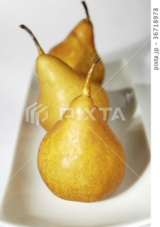 36718978