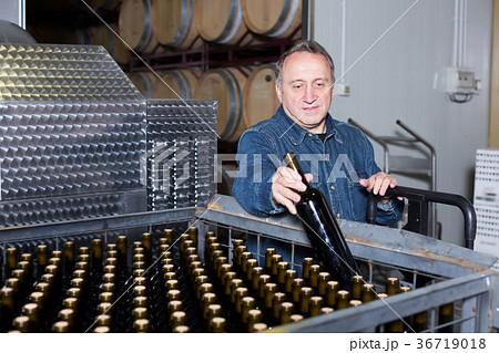 Cheerful wine maker inspect containers Cheerful wine maker inspect containers 36719018