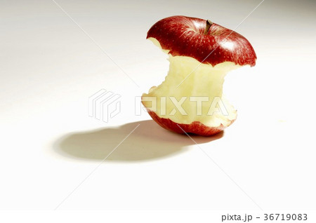 36719083