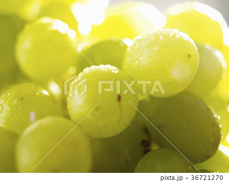 36721270