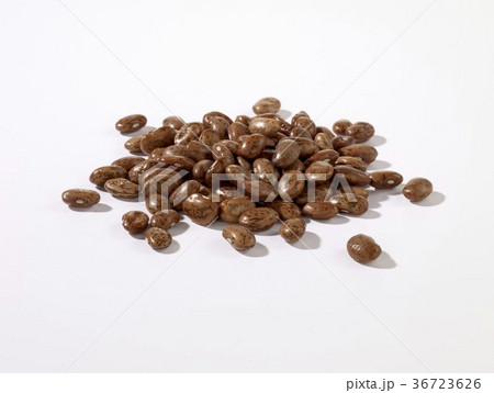 36723626