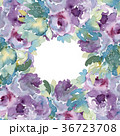 水彩花で可愛らしい紫色薔薇スクエアフレーム手描きフラワー枠 36723708