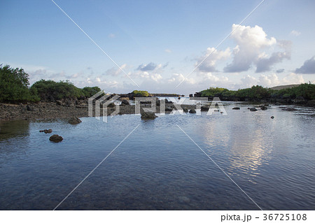 無人 旅行 見物人 36725108