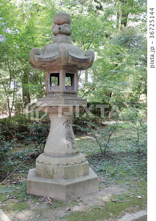 無人 旅行 行程 36725144