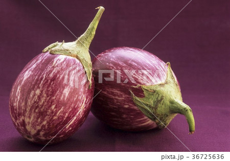 36725636