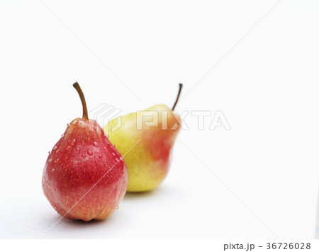 36726028