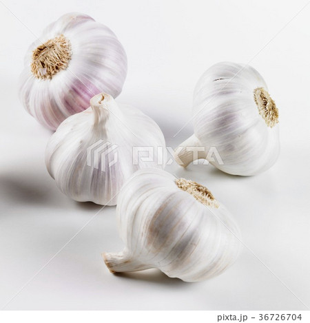 36726704