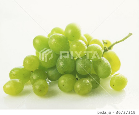 36727319
