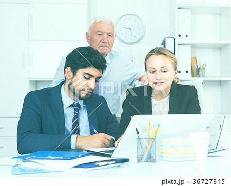 Managers are demonstrating reports on laptop to mature boss Managers are demonstrating reports on laptop to mature boss 36727345