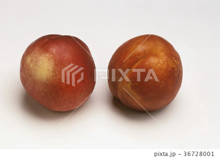 36728001