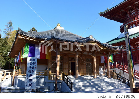 成田山新勝寺　医王殿 36729906