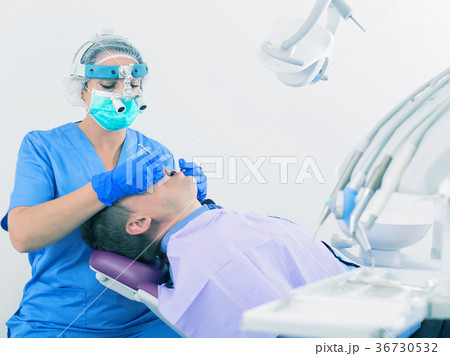 adult dentist checking teeth of patient 36730532