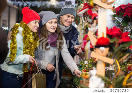 positive mother, father and teen girl buying red Euphorbia and floral decorations at Christmas fair positive mother, father and teen girl buying red Euphorbia and floral decorations at Christmas fair 36730780
