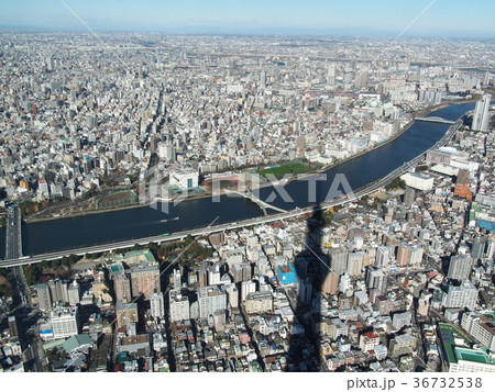東京スカイツリー 東京スカイツリー 36732538