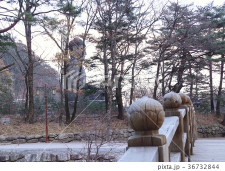 wooden bridge in spring 36732844