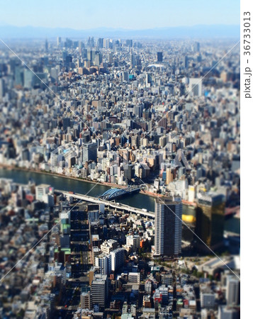 東京スカイツリー 東京スカイツリー 36733013