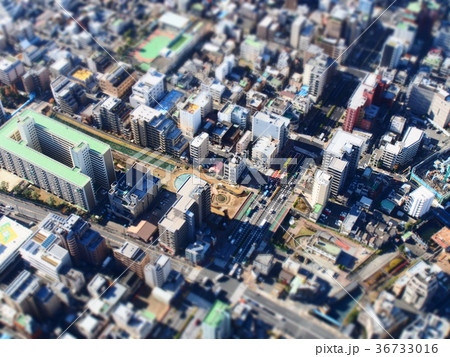 東京スカイツリー 東京スカイツリー 36733016