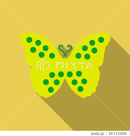 Colorful abstract watercolor butterfly on a white 36733066