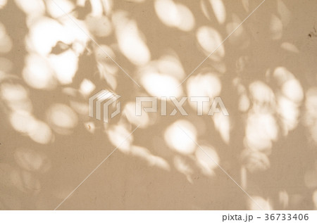 漆喰の白塀に冬の木漏れ日のシルエット　b 暖色 36733406