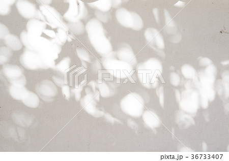 漆喰の白塀に冬の木漏れ日のシルエット C 明るめ グレーの写真素材