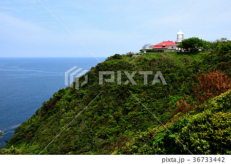地蔵崎(美保関灯台)駐車場展望デッキからの美保関灯台 36733442