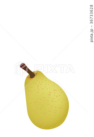 果物いろいろヨウナシ 果物いろいろヨウナシ 36733628