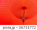 和傘 36733772