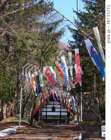 鯉のぼりの泳ぐ定山渓神社 鯉のぼりの泳ぐ定山渓神社 36735251