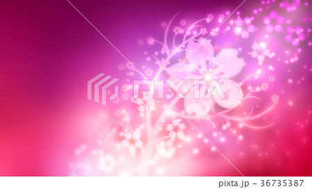 桜 (72) 桜 (72) 36735387