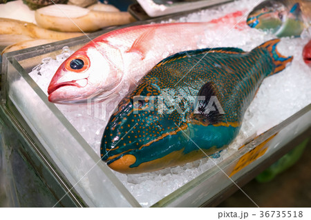 colorful fresh fish on ice in seafood market. colorful fresh fish on ice in seafood market. 36735518