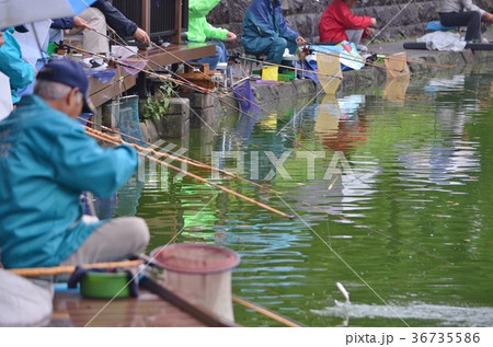 ヘラブナ釣り大会 ヘラブナ釣り大会 36735586