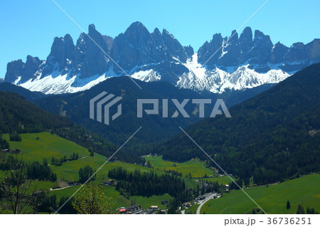 5月　南チロル　イタリア May South Tyrol Italy 36736251