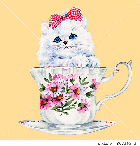 猫のイラスト 36736543