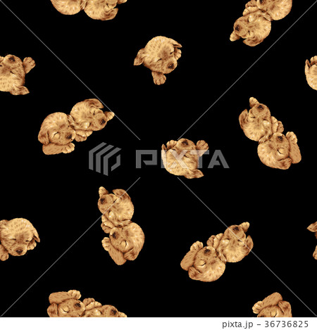 可愛い犬柄 可愛い犬柄 36736825