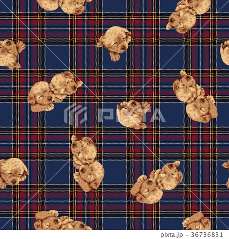 可愛い犬柄 36736831