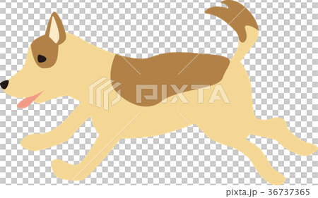 走る犬 36737365