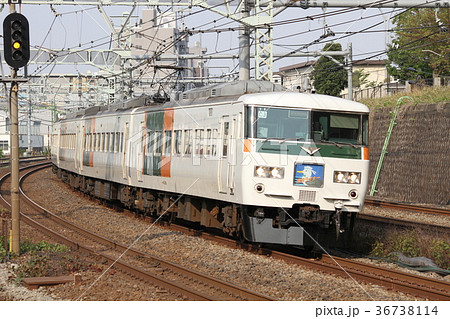 185系湘南ライナー 36738114