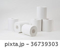トイレットペーパー１ 36739303