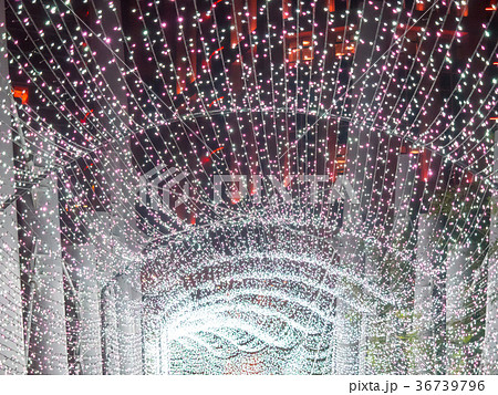 台湾 台北 台北市 36739796