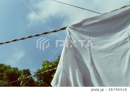 台湾 彰化 青い空 36740419