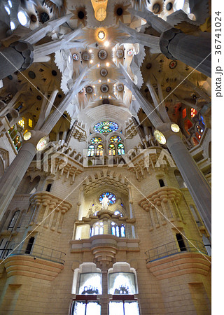 スペイン　バルセロナ　サグラダファミリア 36741024