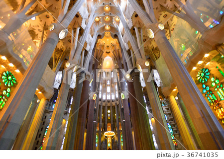 スペイン　バルセロナ　サグラダファミリア 36741035