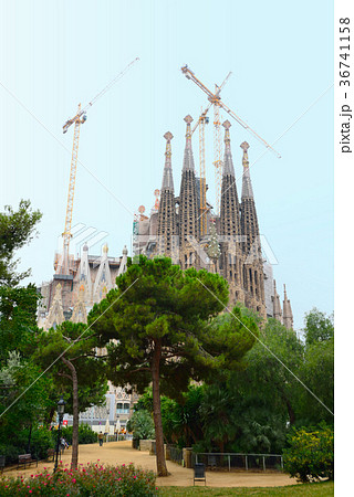 スペイン　バルセロナ　サグラダファミリア 36741158