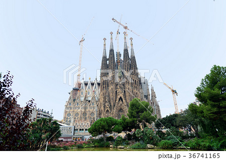 スペイン　バルセロナ　サグラダファミリア 36741165