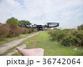 手で操縦する最新ドローン 36742064
