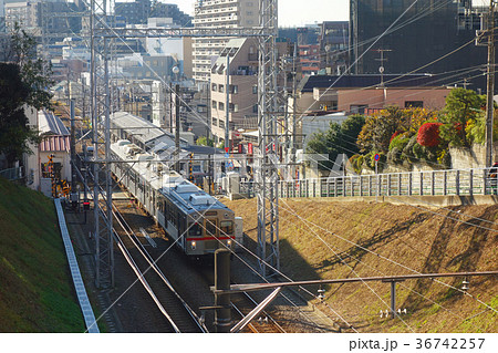 石川台駅 池上線沿い風景 石川台駅 池上線沿い風景 36742257
