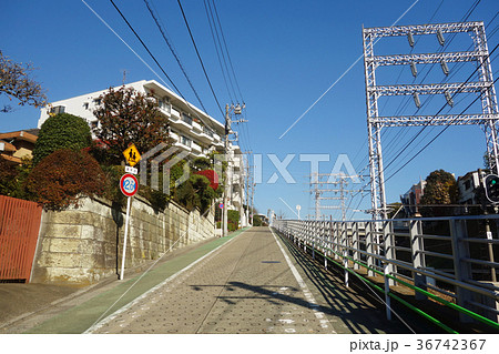 池上線沿い風景 池上線沿い風景 36742367