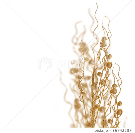 branch of christmas stars and berries branch of christmas stars and berries 36742587