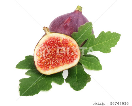 fig fruits with leaves isolated on white 36742936