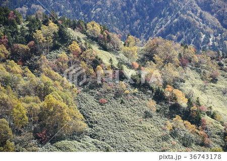 秋の志賀高原 36743178